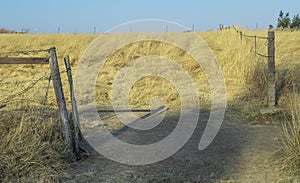 Farmland kwaZulu-Natal province South Africa