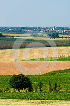 Farmland landscape