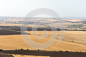 Farmland landscape in Basilicata, Italy