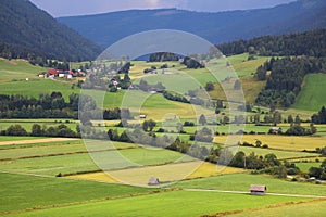 Farmland landscape in Salzburg State, Austria