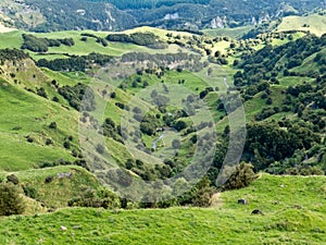 Farmland landscape scene Hawke's Bay New Zealand