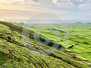 Farmland landscape in Terceira Island, Azores, Portugal