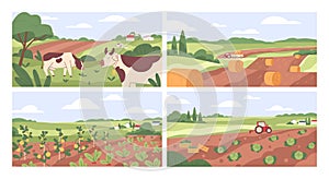 Farmland landscapes set. Farms backgrounds with cows in pastures, grasslands, agriculture fields, vegetable gardens in