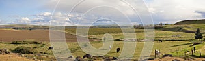 Farmland at Maryhill Washington Panorama