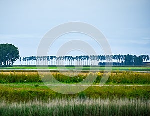 Farmland with meadows, trees and blue sky