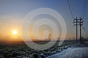 Farmland in the morning