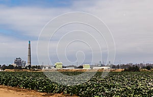 Farmland - Moss Landing California photo