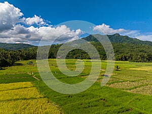 Farmland in mountainside of Camiguin Island. Philippines.