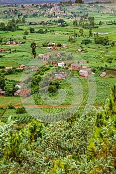 Farmland near Antsirabe