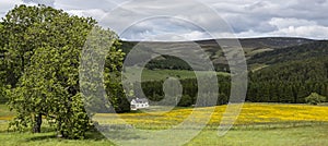 Farmland near Corgarff Castle in Aberdeenshire, Scotland, United Kingdom.