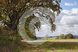 Farmland near Guiting Power, Cotswolds, England