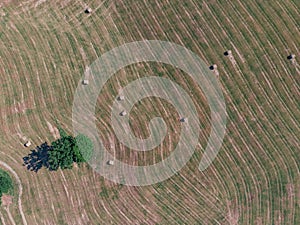 Farmland and haystack overlook by DJI mavic mini photo