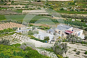 Farmland near Mdina, Malta.