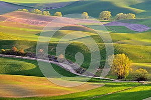 Farmland in Palouse Washington