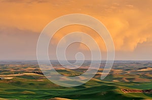 Farmland in Palouse Washington