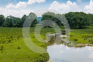 Farmland Preservation Habitat