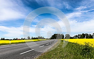 Farmland Road