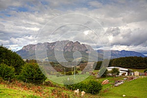 Farmland scenery and mountain in Tasmania photo