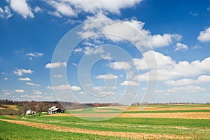 Farmland And Sky