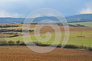 Zemědělská půda na Slovensku