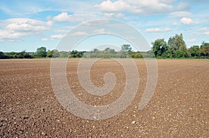 Farmland Soil