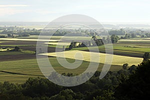 Farmland in spring