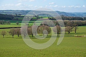 Farmland in Springtime in Devon, England