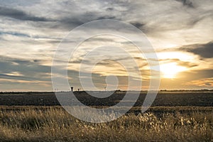 Farmland Sunset in Taylor,  Texas