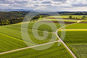 Farmland in the Swabian forest in Germany