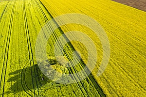 Farmland in the Swabian forest in Germany