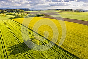 Farmland in the Swabian forest in Germany