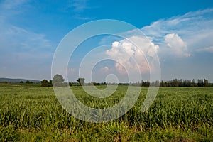 Farmland photo
