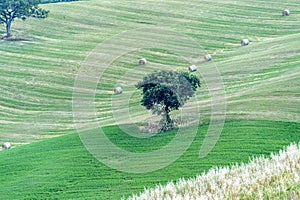 The farmland of Toscana