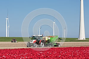Farmland with tractor planting potatoes between tulip fields and windturbines