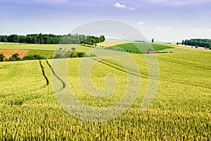 Farmland in Upper Austria photo