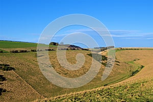 Farmland view 5, near Millington, in the Yorkshire Wolds. photo