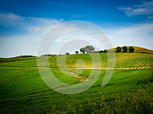 Farmland with vineyards and farmhouses in Tuscany Italy