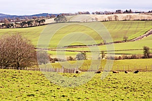 Farmland in West Lothian, Scotland, United Kingdom