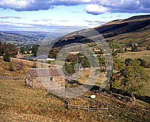 Farmland, Wharfdale, England. photo