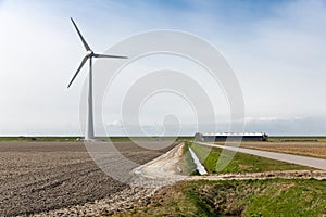 Farmland with a wind turbine of the biggest windfarm in the Netherlands