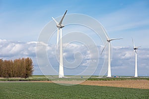 Farmland with wind turbines of the biggest windfarm in the Netherlands