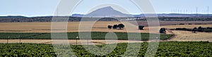 Farmlands in Albacete photo