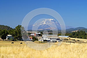 Farmlands, Goldendale, WA