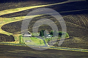 Farmlands of Palouse
