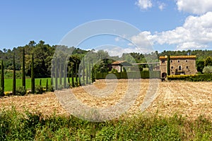 Farmlandscape at the countryside
