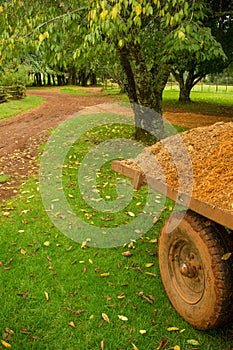 Farmlife in Troutbeck Zimbabwe