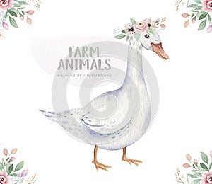 Farms animal isolated set. Cute domestic farm pets watercolor illustration. goose baby cartoon drawing.