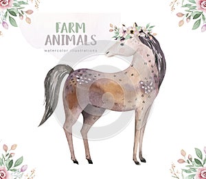 Farms animal isolated set. Cute domestic farm pets watercolor illustration. horse cartoon drawing.