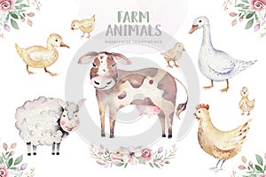 Fattorie l'animale impostato mulino. Carino domestico animali domestici acquerello illustrazioni. un cavallo un oca. un maiale progetto una capra. gallo 