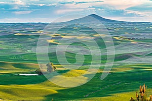 Farms below Steptoe Butte at sunset